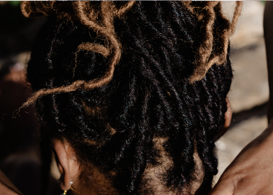 Starter locs